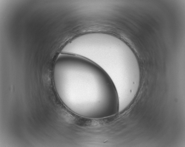 X0000067870305200604131022