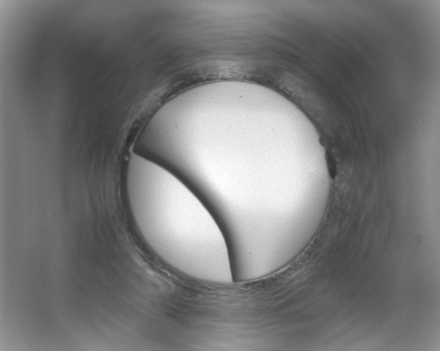 X0000067870306200604131021