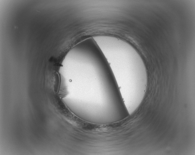 X0000067870307200604131021