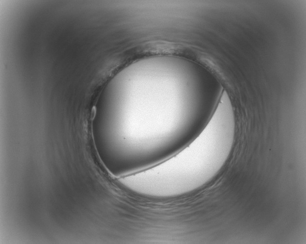 X0000067870309200604131021