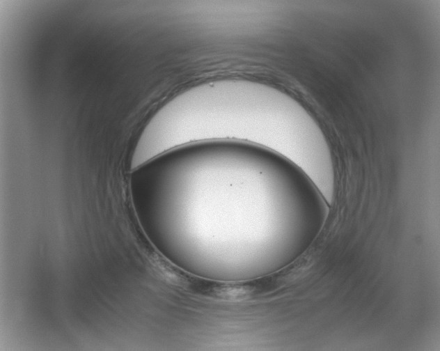 X0000067870313200604131021