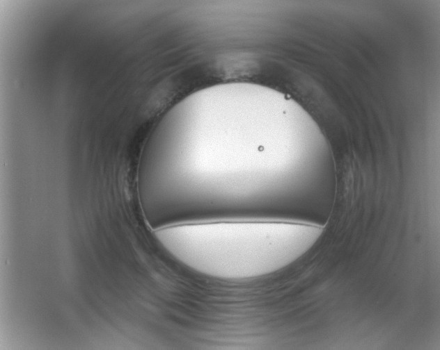 X0000067870316200604131021