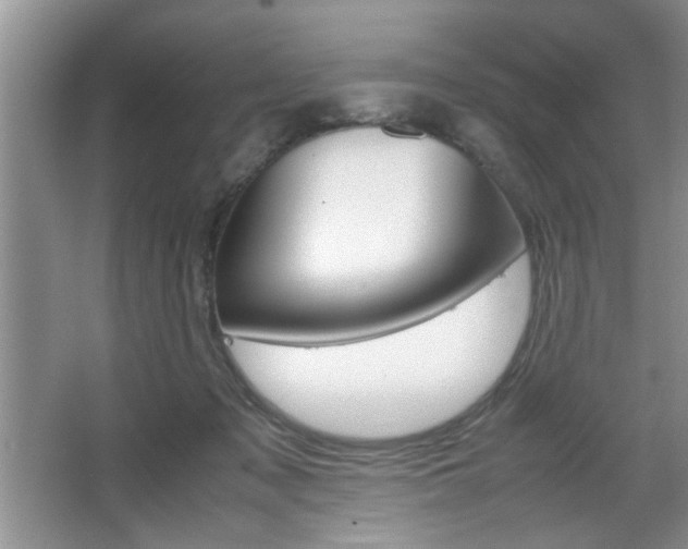 X0000067870317200604131021