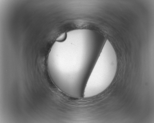 X0000067870319200604131021