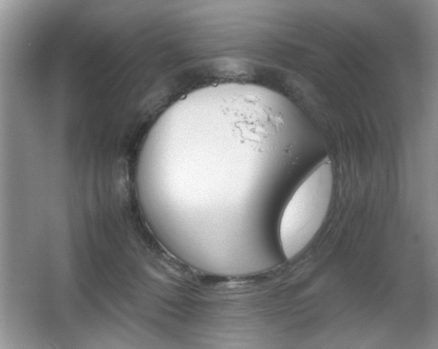 X0000067870320200604131021