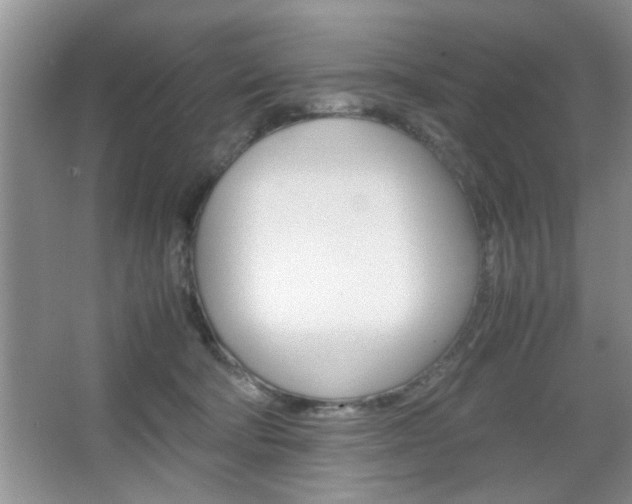 X0000067870322200604131021