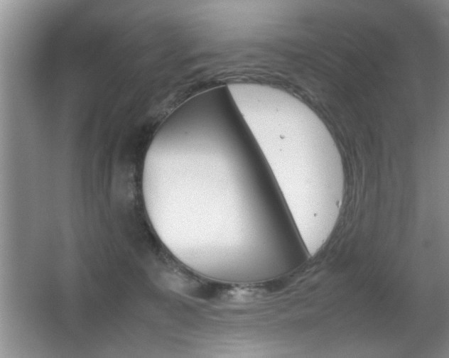 X0000067870323200604131021