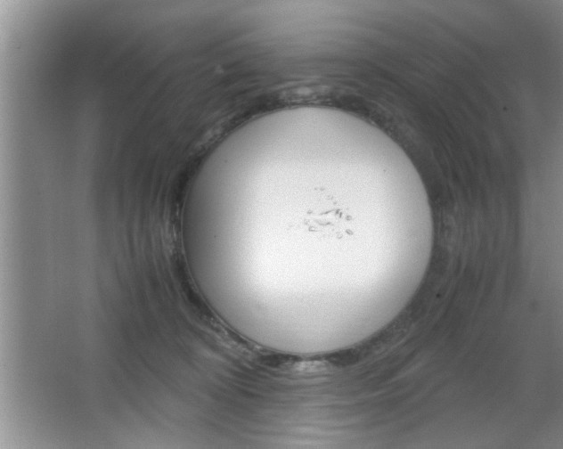 X0000067870324200604131021