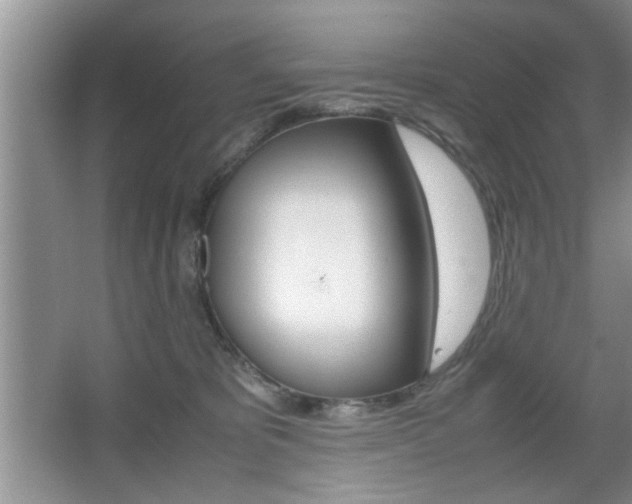 X0000067870325200604131021