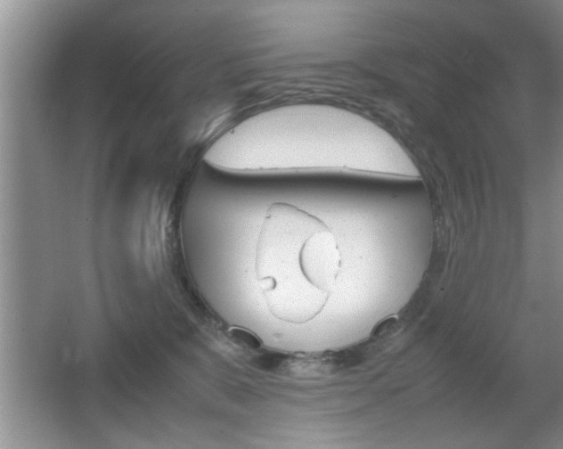 X0000067870327200604131021