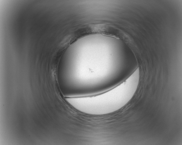 X0000067870329200604131021