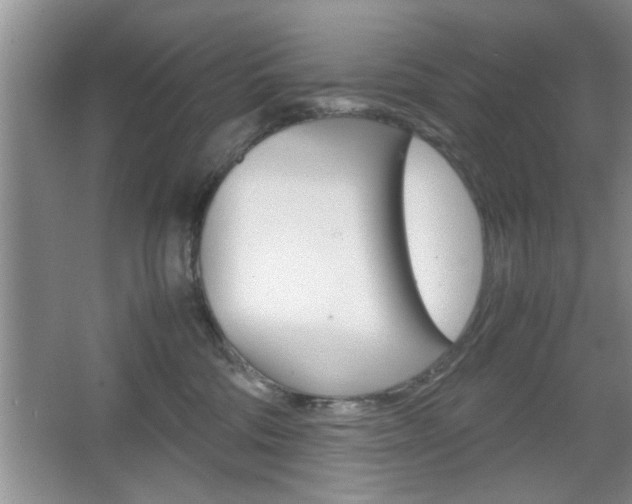 X0000067870330200604131021