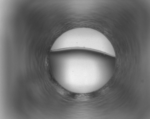 X0000067870331200604131021