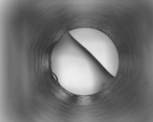 X0000067870334200604131021