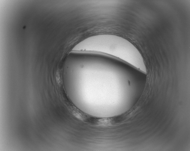 X0000067870335200604131021