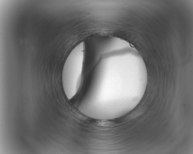 X0000067870336200604131021