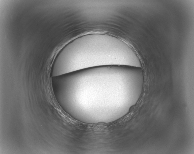 X0000067870337200604131020