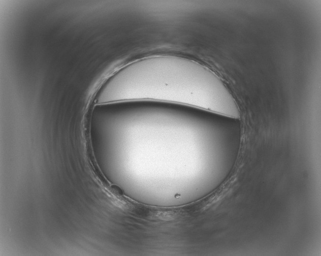 X0000067870341200604131020