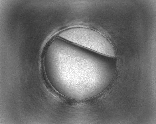 X0000067870344200604131020