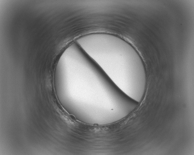 X0000067870345200604131020