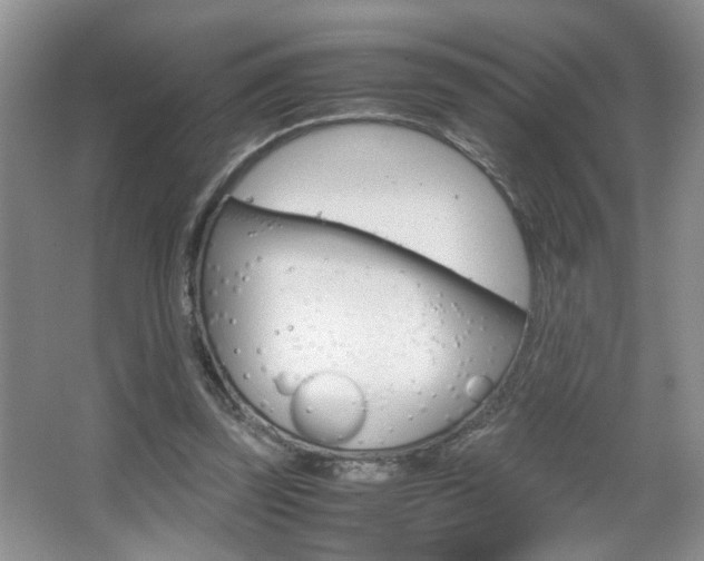 X0000067870347200604131020