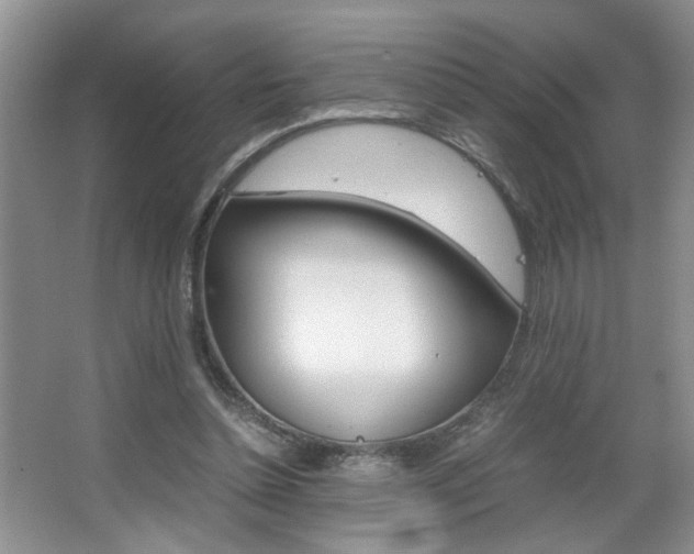 X0000067870348200604131020