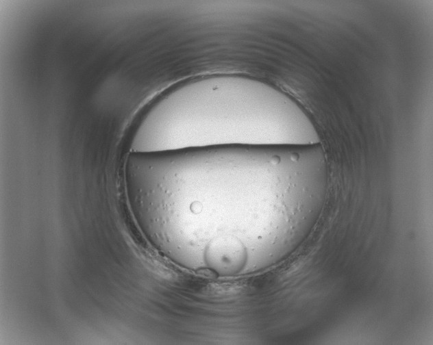 X0000067870351200604131020