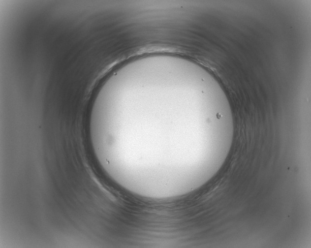 X0000067870352200604131020