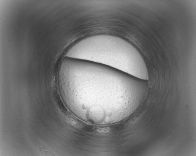 X0000067870355200604131020