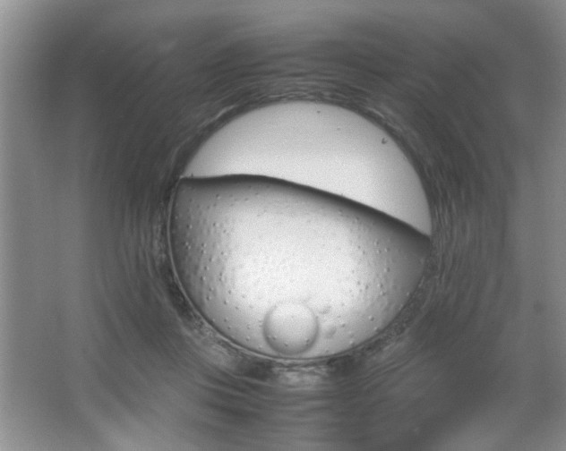 X0000067870359200604131021