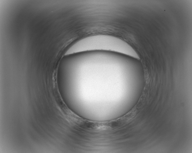 X0000067870360200604131021