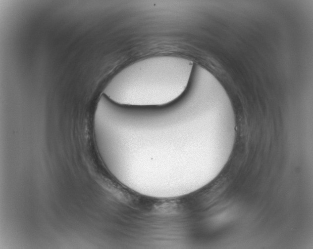 X0000067870362200604131021