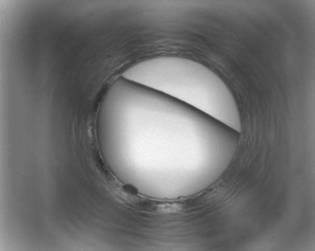 X0000067870363200604131021