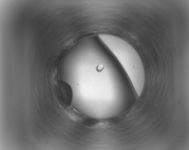 X0000067870364200604131021