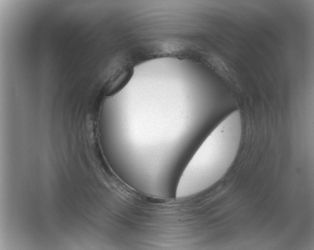 X0000067870366200604131021