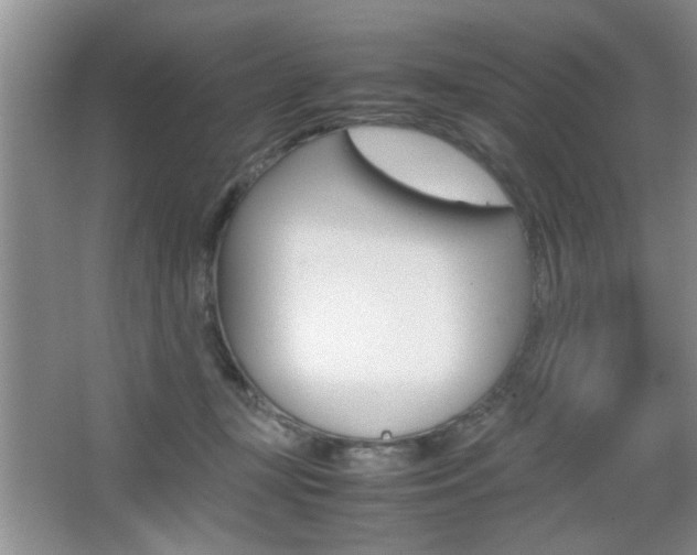 X0000067870367200604131021