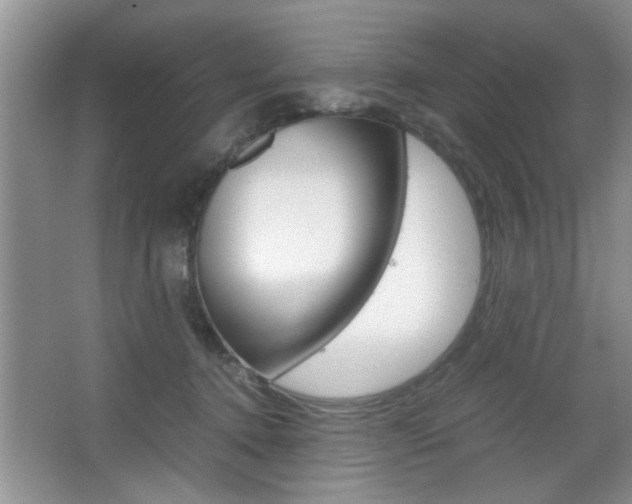 X0000067870368200604131021