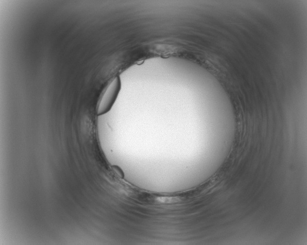 X0000067870371200604131021