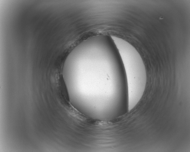 X0000067870372200604131021