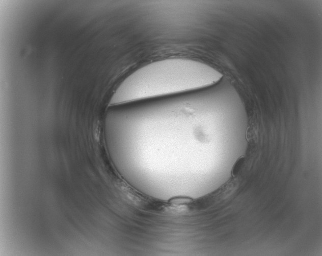 X0000067870374200604131021