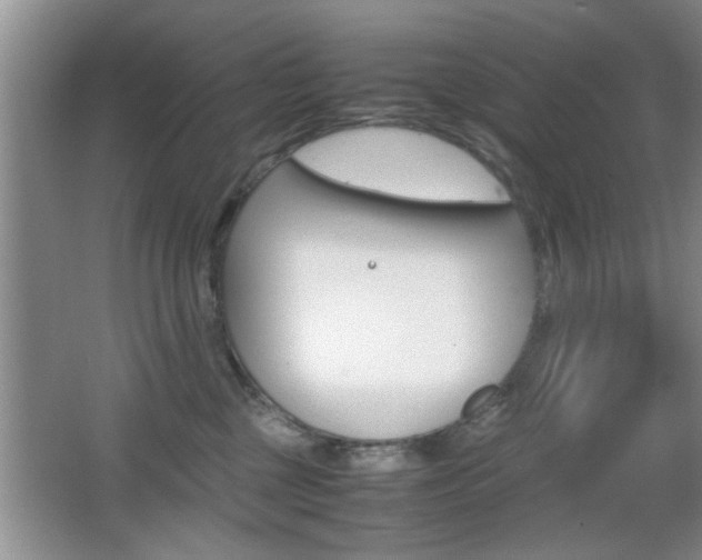 X0000067870377200604131021