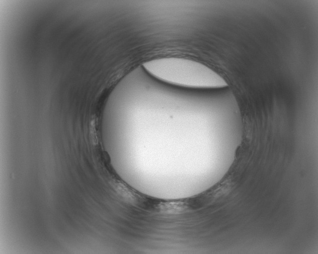 X0000067870378200604131021