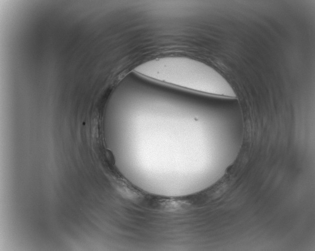 X0000067870379200604131021