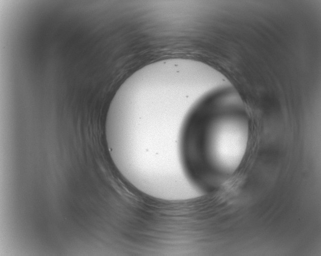 X0000067870380200604131021