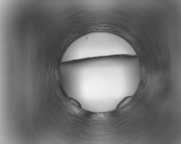 X0000067870381200604131021