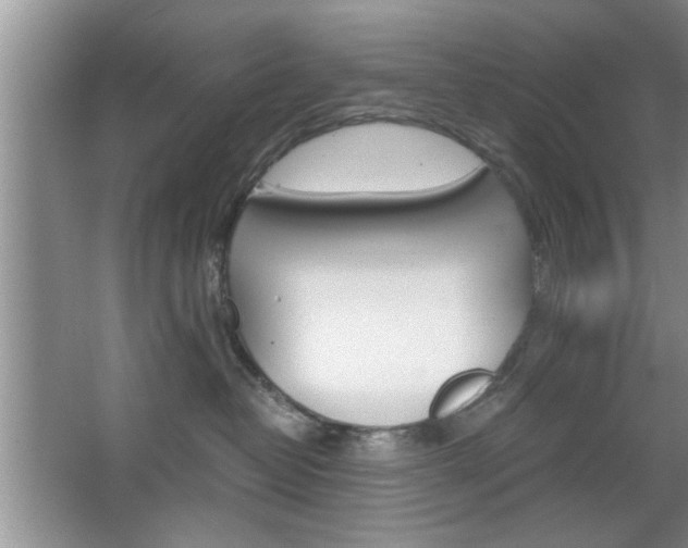 X0000067870382200604131021