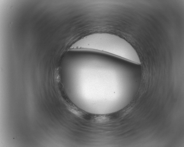 X0000067870383200604131021