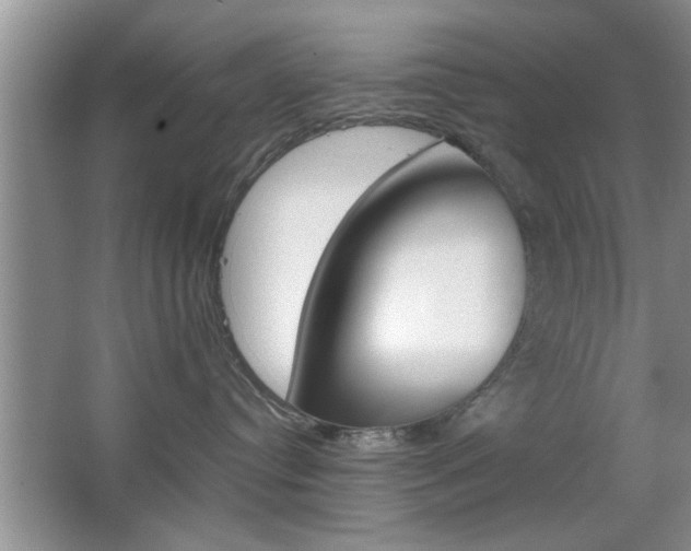 X0000067870384200604131021