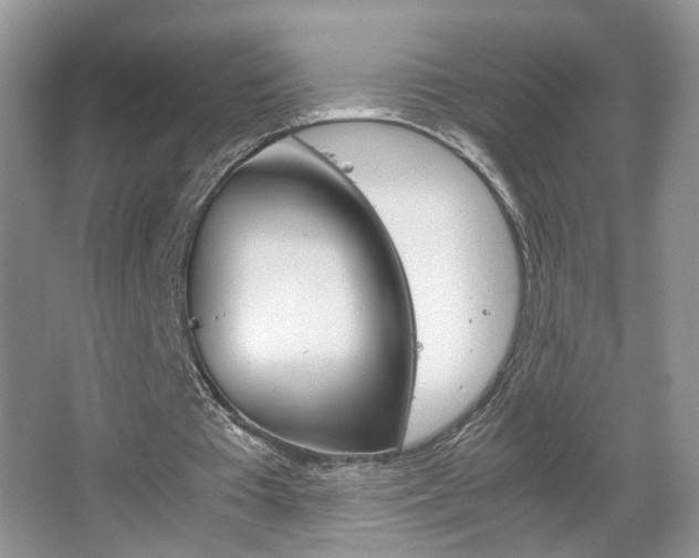 X0000067870385200604131020