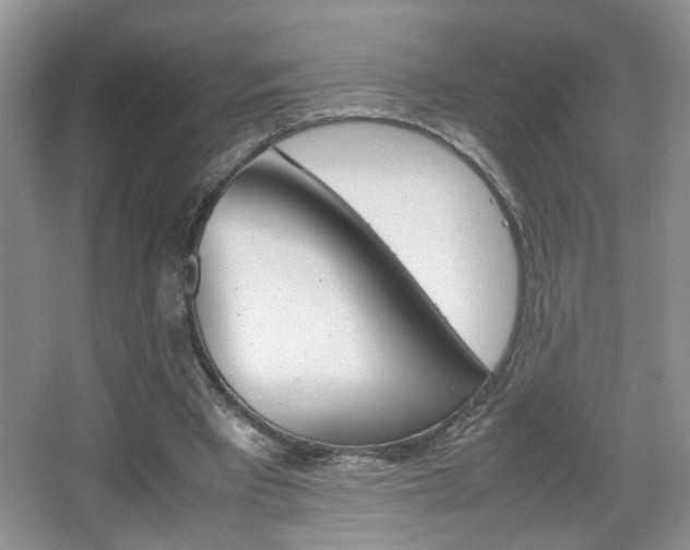 X0000067870393200604131020